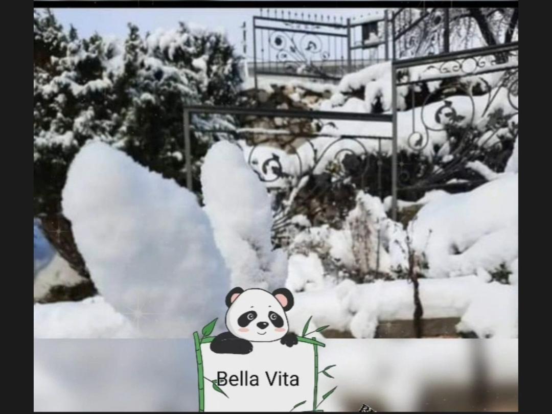 Apartman Bella Vita 科拉欣 客房 照片